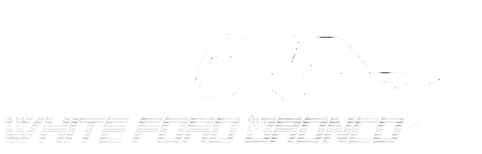 asset_image